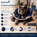 Colar Elizabetano para Gatos Cone Cirúrgico Premium