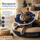 Colar Elizabetano para Gatos Cone Cirúrgico Premium