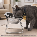 Comedouro Bebedouro Tigela Elevado Inclinado Ergonômico Regulável Removível Inox para Gato Gatomaníacas