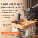 Fonte Bebedouro para Gatos Sem Fio com Torneira Filtro Bateria Recarregável USB Gatomaníacas