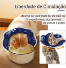 Colar Elizabetano para Gatos Cone Cirúrgico Premium